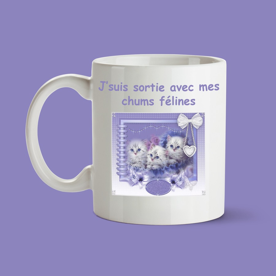 Tasse j'suis sortie avec mes chums félines