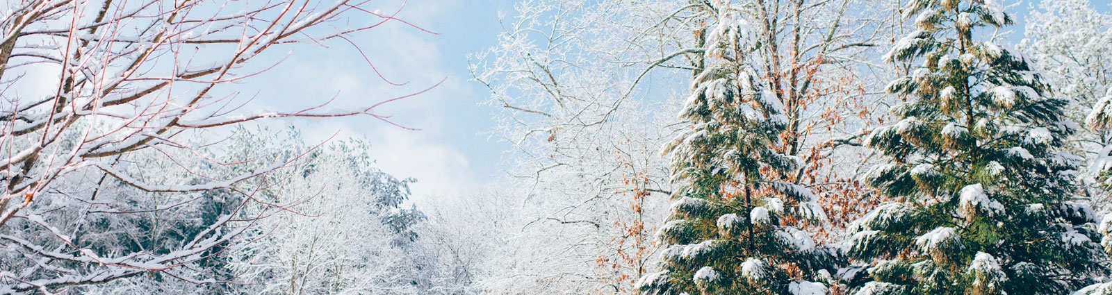 Accessoires d'hiver à offrir en cadeau